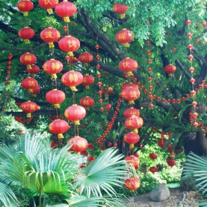 Gartenkunst in China 2011